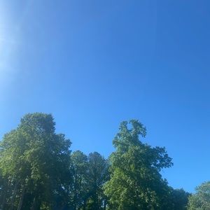 Meet your Posher, Ethan